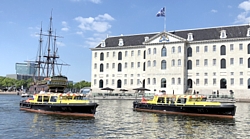 Waterpieper und Waterhoen